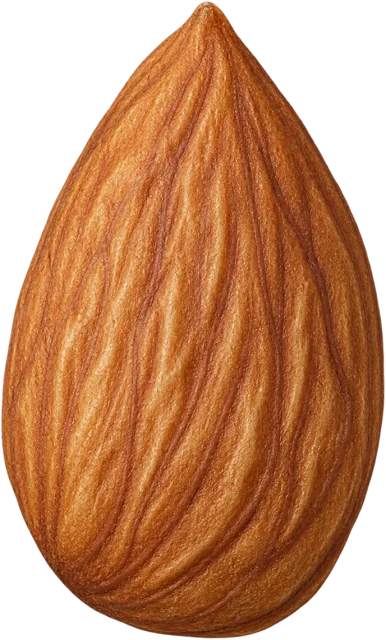 Scale illustration of Almond, calibrated to its mass measurement.