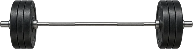Scale illustration of 20 kg barbell, calibrated to its mass measurement.