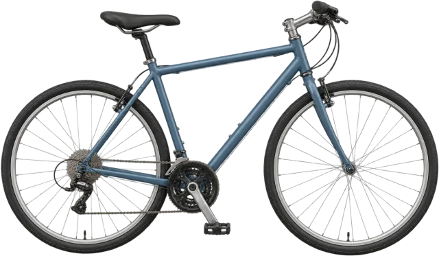 Scale illustration of Bicycle, calibrated to its length measurement.