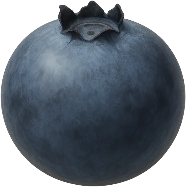 Scale illustration of Blueberry, calibrated to its defined maximum fruit diameter measurement.