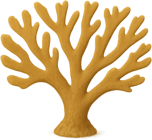 Scale illustration of Elkhorn coral colony, calibrated to its defined colony width measurement.