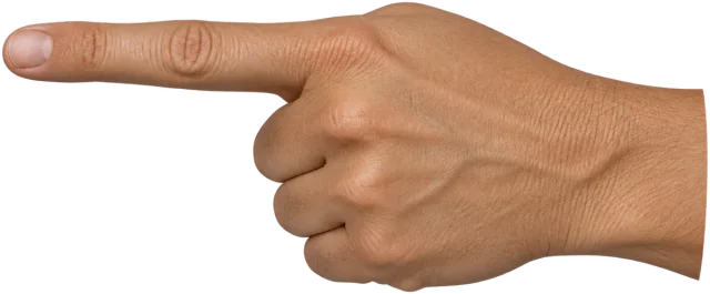 Scale illustration of Index finger, calibrated to its length measurement.
