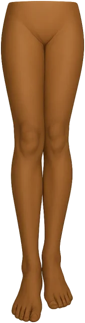 Scale illustration of Human leg, calibrated to its defined hip-to-heel length measurement.