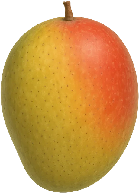Scale illustration of Mango, calibrated to its defined fruit length measurement.