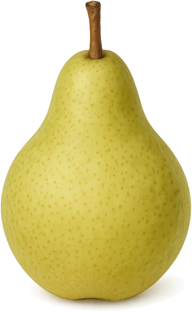 Scale illustration of Pear, calibrated to its defined fruit length measurement.