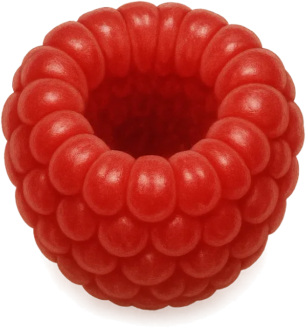 Scale illustration of Raspberry, calibrated to its defined fruit diameter measurement.