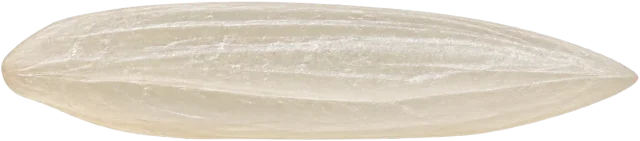 Scale illustration of Grain of rice, calibrated to its length measurement.