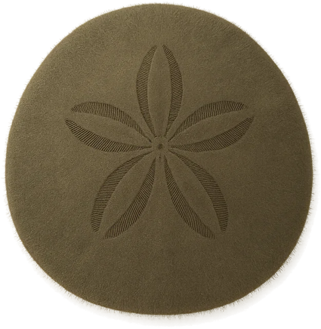 Scale illustration of Sand dollar, calibrated to its defined test diameter measurement.