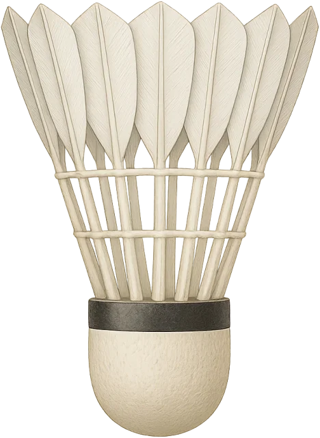 Scale illustration of Shuttlecock, calibrated to its overall length measurement.