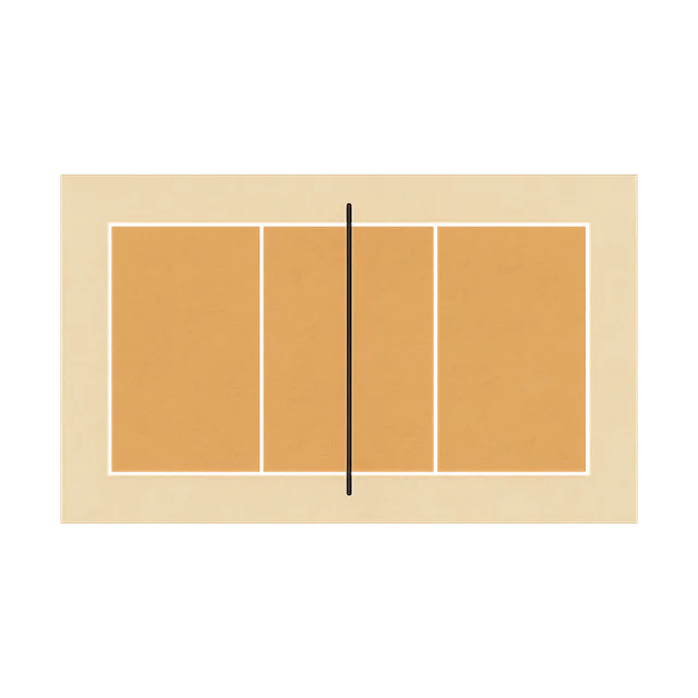 Scale illustration of Volleyball court, calibrated to its length measurement.